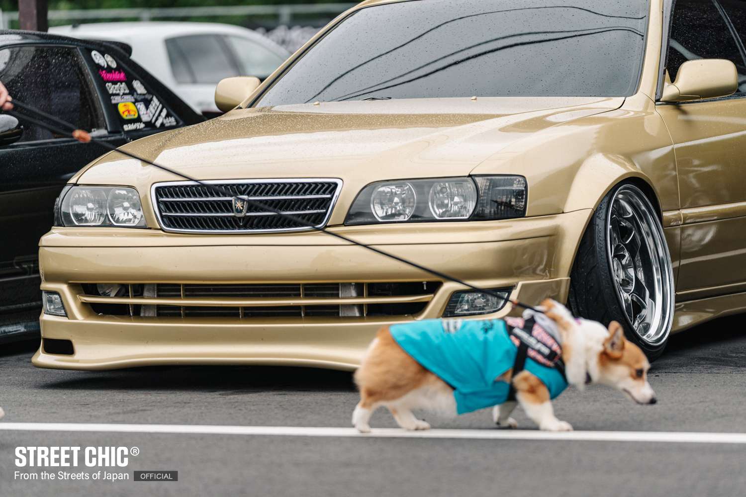 グリップ、ドリフト LOWSTARS 2025 part2